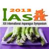 XIII International Asparagus Symposium