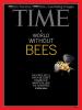 A World Without Bees - Time Magazine
