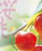8th Cherry Symposium: Final extension of the deadline for abstract submission