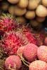 Save the date: VII International Symposium on Lychee, Longan and Other Sapindaceae Fruits