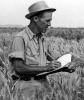The Norman Borlaug Award for Field Research and Application