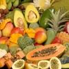 Newsletter N° 11: July 2014 - Section on Tropical and Subtropical Fruits