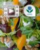 Webinar: What does Science say about fruits and vegetables and health?